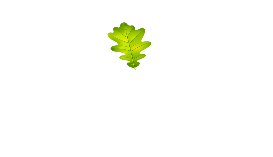 Напольные покрытия из термодревесины